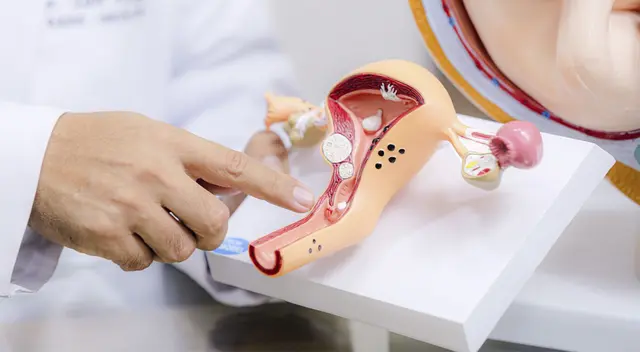 El cáncer sigue en aumento a nivel mundial El cáncer sigue en aumento a nivel mundial