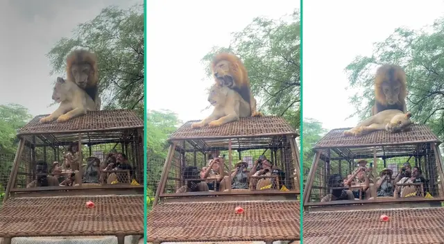 Usuarios no dudaron en burlarse del video en TikTok.