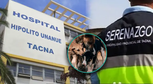 Sereno pierde un dedo en Tacna cuando realizaba un operativo en el Cercado de la ciudad.