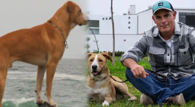 ‘Vaguito’ ha cautivado cines peruanos.