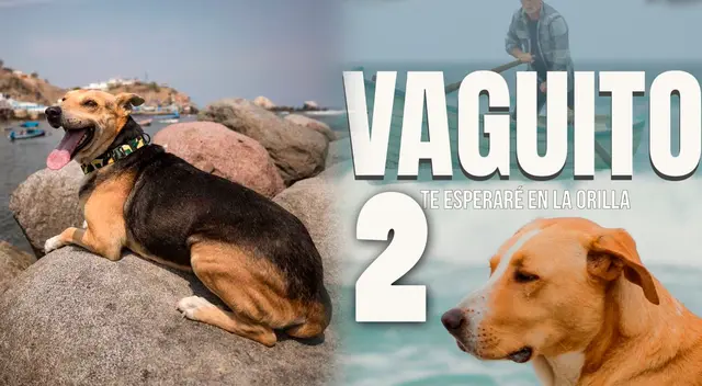 Alex Hidalgo, director de Vaguito confirma segunda parte del filme peruano.