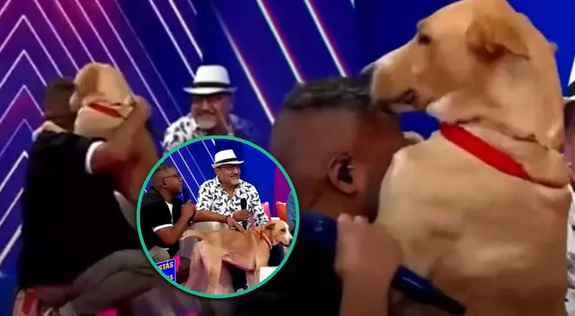 ‘Vaguito’ es un exitosa película peruana.