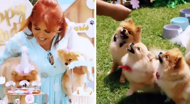 Magaly Medina hace fiesta de cumpleaños a sus cuatro perritos.