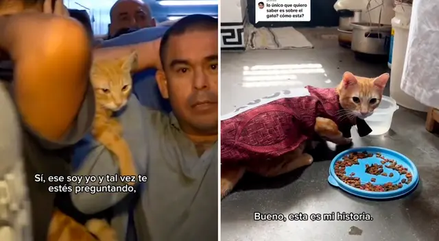 El gatito se ha ganado el cariño de miles de usuarios en TikTok y piden sus aventuras en el penal.
