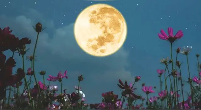 Luna de Flores 2024: conoce todos los detalles para ver la luna llena de mayo.