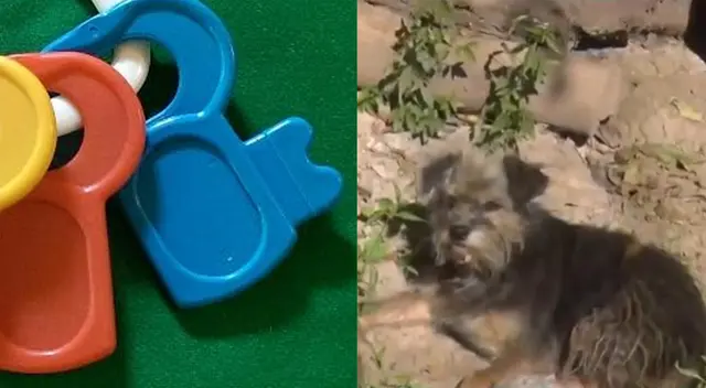 El caso del escape de un bebé se hizo viral en las redes sociales.