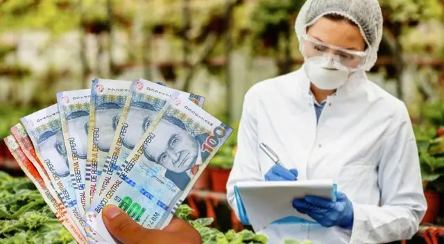 Solo cinco universidades ofrecen la carrera mejor pagada en la actualidad, según MTPE. Solo cinco universidades ofrecen la carrera mejor pagada en la actualidad, según MTPE.