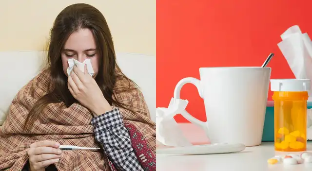 Las infusiones calman los síntomas de resfriado.