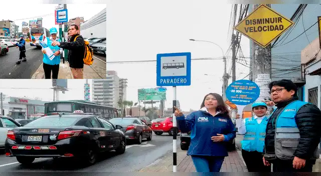 Los trabajos incluyen el mantenimiento, redistribución e implementación de tres nuevos paraderos para organizar de transporte público Los trabajos incluyen el mantenimiento, redistribución e implementación de tres nuevos paraderos para organizar de transporte público