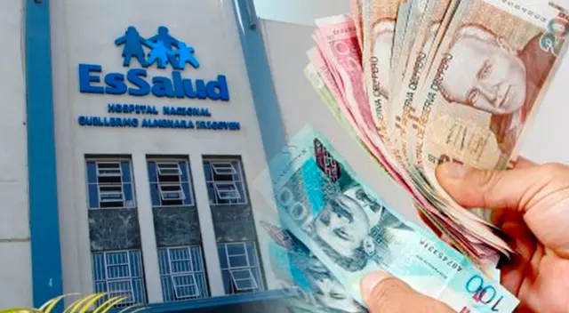 EsSalud ofrece beneficios como Bono por lactancia y Bono por maternidad.