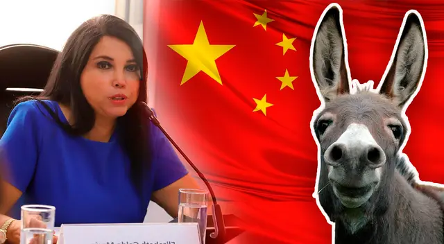 Carne de burro sería de gran importancia en el mercado chino. Carne de burro sería de gran importancia en el mercado chino.