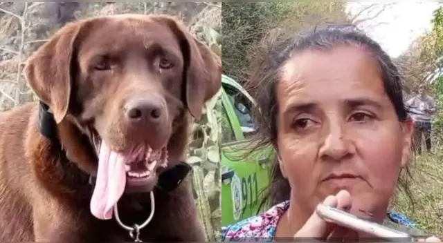 Uno de los perritos que seguía los rastros de Loan tras su desaparición murió en Argentina.