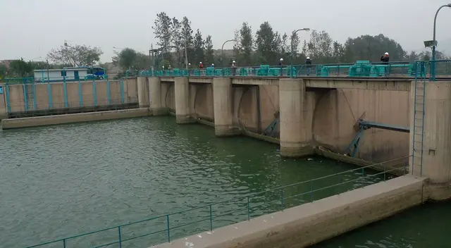 Animalistas denunciaron el asesinato de 7 perros en la planta La Atarjea de Sedapal. Animalistas denunciaron el asesinato de 7 perros en la planta La Atarjea de Sedapal.