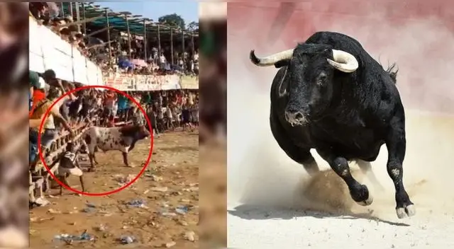 Joven de 17 años pierde la vida tras ser corneado varias veces por un toro durante las corralejas en el Atlántico. Joven de 17 años pierde la vida tras ser corneado varias veces por un toro durante las corralejas en el Atlántico.