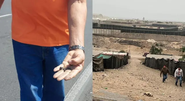 Salaverry: pobladores sufren por explotación industrial de carboneras. Salaverry: pobladores sufren por explotación industrial de carboneras.