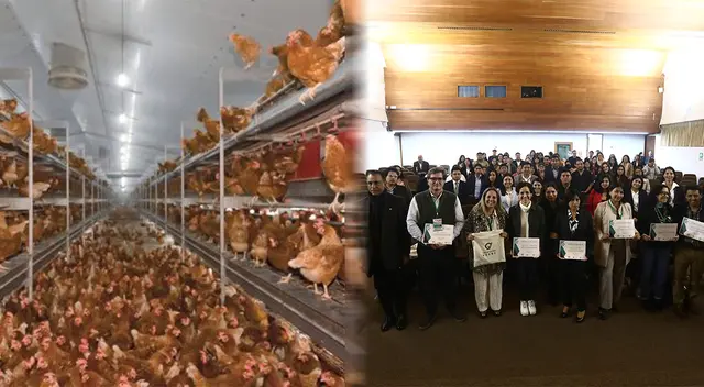 Promoverán una ley sobre el etiquetado de los huevos. Promoverán una ley sobre el etiquetado de los huevos.