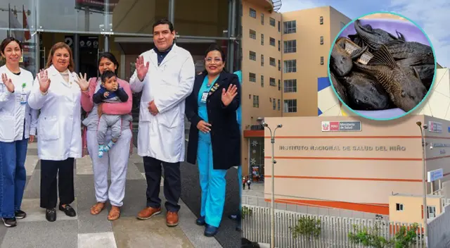 Equipo médico de San Borja salvo de morir a bebita que se comió un pescado en Junín. Equipo médico de San Borja salvo de morir a bebita que se comió un pescado en Junín.