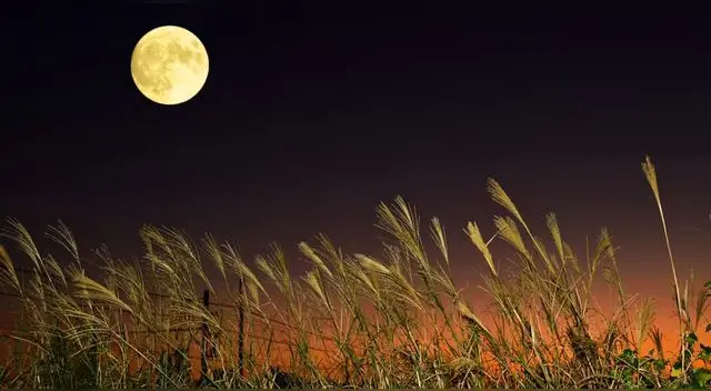 Luna de Cosecha 2024: conoce cuál s su significado y por qué es tan importante para los agrícolas. Luna de Cosecha 2024: conoce cuál s su significado y por qué es tan importante para los agrícolas.