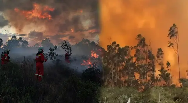 Gran incendio forestal se viene presentando en la Amazonía y Áncash. Gran incendio forestal se viene presentando en la Amazonía y Áncash.