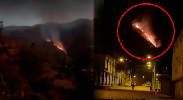 Incendio forestal llegó a Lima uy alerta a la población de Huaral.