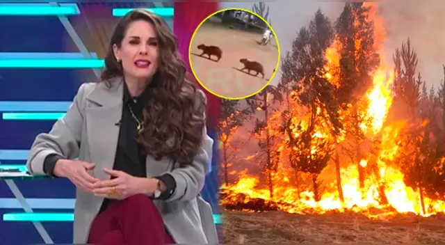 Rebeca Escribens hizo un llamado a las autoridades del Gobierno. Rebeca Escribens hizo un llamado a las autoridades del Gobierno.