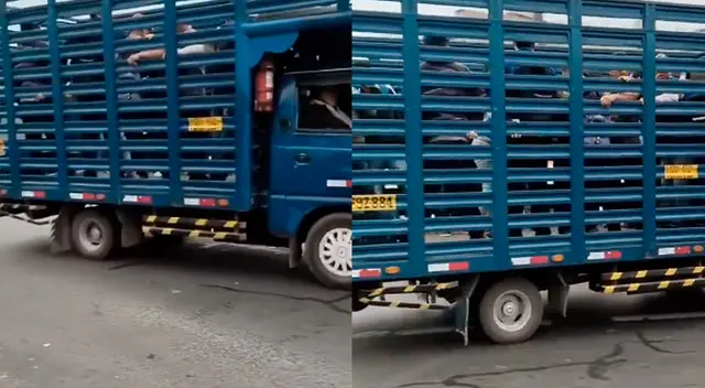 Las personas no tenían cómo trasladarse, pero recurrieron a una forma rápida. Las personas no tenían cómo trasladarse, pero recurrieron a una forma rápida.