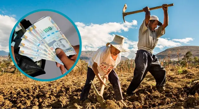 El MTPE esperan el informe final del Consejo Nacional de Trabajo sobre el posible aumento del sueldo mínimo. El MTPE esperan el informe final del Consejo Nacional de Trabajo sobre el posible aumento del sueldo mínimo.