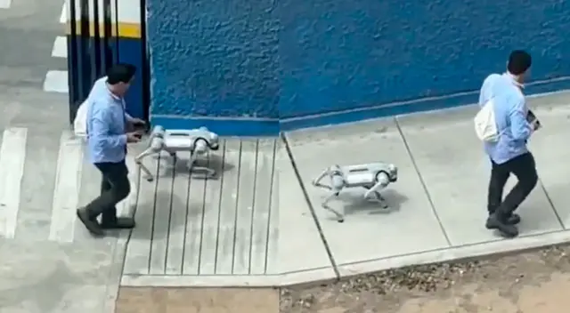 Perro robot tendría un valor demasiado alto. Perro robot tendría un valor demasiado alto.