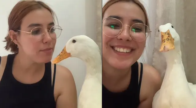 Mujer logra que su pato sonriera a la cámara y se hace viral en Tik  Tok.