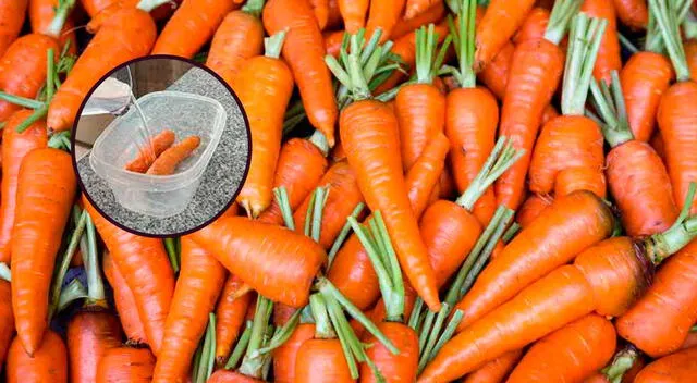 El mejor lugar para guardar las zanahorias y duren más tiempo.