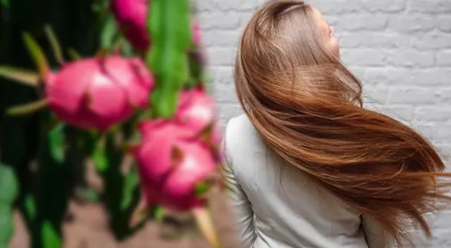 Revoluciona tu rutina de belleza y salud con la fruta del dragón. Revoluciona tu rutina de belleza y salud con la fruta del dragón.