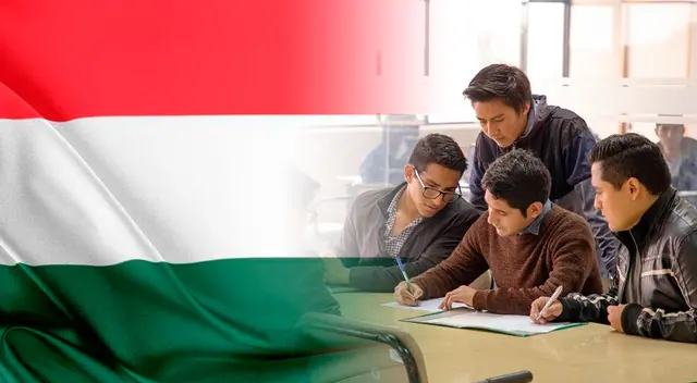 Los postulantes podrán postular hasta el 15 de enero del 2025.