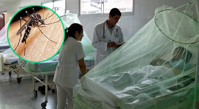 Adultos de 30 a 59 años forman parte del grupo más afectado. Adultos de 30 a 59 años forman parte del grupo más afectado.