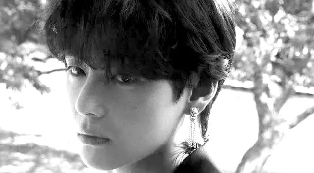 El adiós de V Kim Taehyung a Yeontan El adiós de V Kim Taehyung a Yeontan