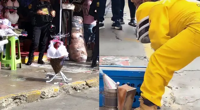 Abejas habrían sido desplazadas de su colmena original. Policías y especialista controlaron la situación.
