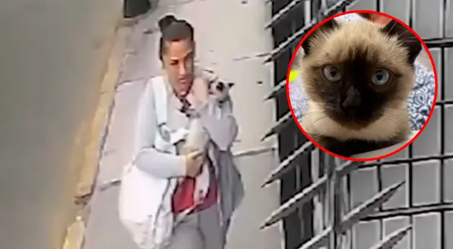 Delincuente fue captada por cámara de seguridad. Policía está en su búsqueda.