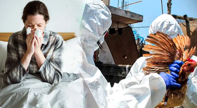 OMS lanza urgente advertencia ante una gripe letal que amenaza al mundo