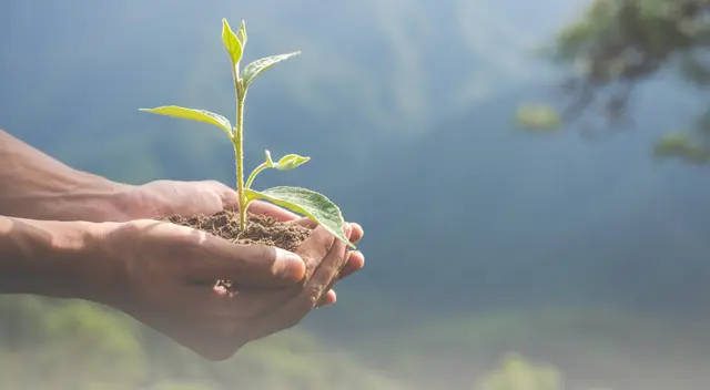 Actualmente nuestro país consume hasta 10 veces más energía eléctrica que hace 20 años. Actualmente nuestro país consume hasta 10 veces más energía eléctrica que hace 20 años.