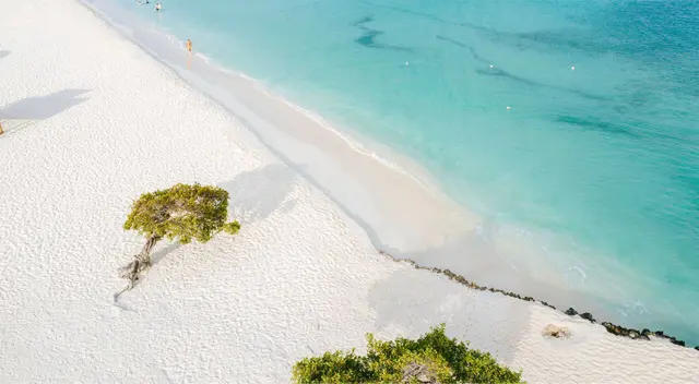 Aruba es reconocida como el destino número 1 del Caribe en el Ranking Mundial de los Travelers’ Choice Awards 2025.