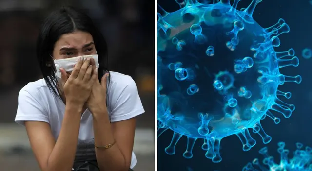 Bill Gates reveló que la llegada de una nueva epidemia global podría ocasionar un serio problema para la humanidad.