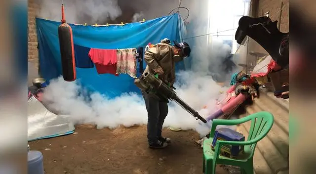 Mitos sobre el dengue que pueden poner en riesgo tu salud