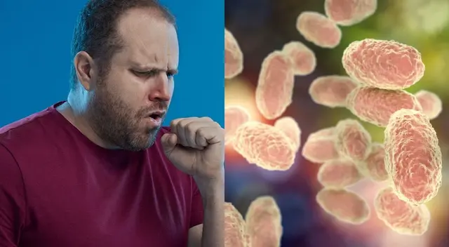 La Gerencia Regional de Salud de Cusco emitió una alerta epidemiológica por el brote de tos ferina, en dos jóvenes en el distrito de Santiago. La Gerencia Regional de Salud de Cusco emitió una alerta epidemiológica por el brote de tos ferina, en dos jóvenes en el distrito de Santiago.