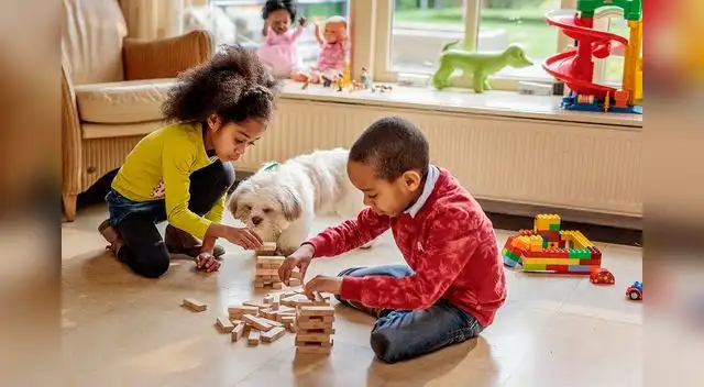 Especialistas indican que la atención veterinaria y la vacunación temprana son claves para su salud.