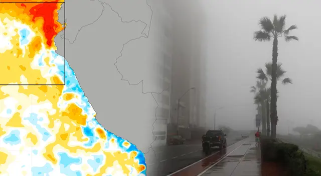 Conoce las regiones que se verán afectadas por el peligroso fenómeno meteorológico.