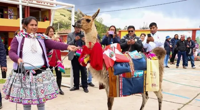 Platero y Pituca: la innovación educativa en las comunidades altoandinas.