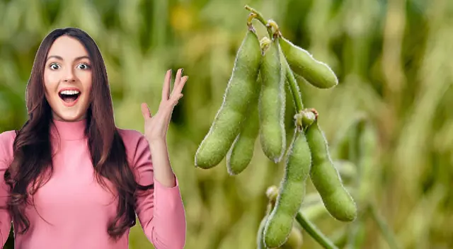 Descubre 5 alimentos con propiedades anticancerígenas para prevenirlo de forma natural.