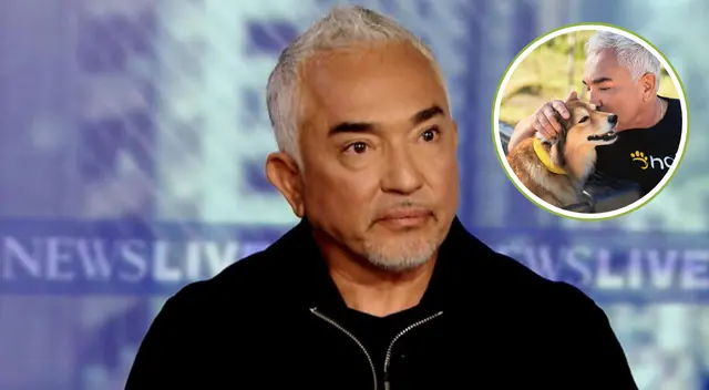 La polémica detrás de César Millán: ¿Arrestado o víctima de un malentendido?