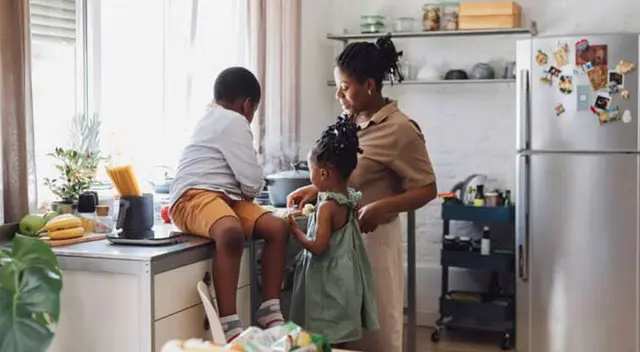 Este es el electrodoméstico más USADO en el Perú. Este es el electrodoméstico más USADO en el Perú.