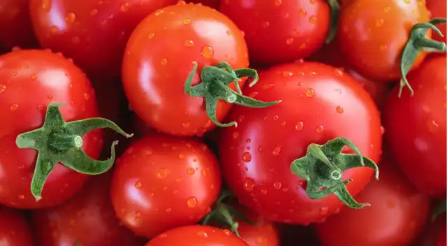 Autoridades retiran tomates del mercado tras hallar bacteria potencialmente mortal.