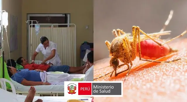De acuerdo al último informe del Minsa, más de 46 personas infectadas y 13 fallecimientos durante el 2025.
